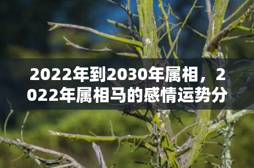 2022年到2030年属相，2022年属相马的感情运势分析