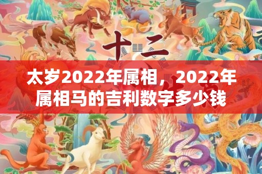 太岁2022年属相，2022年属相马的吉利数字多少钱