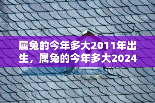 属兔的今年多大2011年出生，属兔的今年多大2024