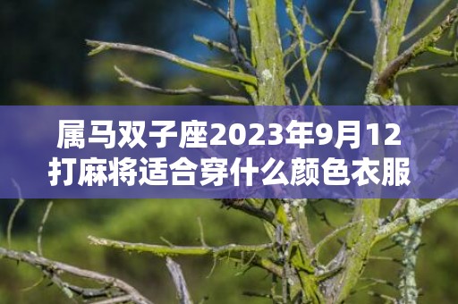 属马双子座2023年9月12打麻将适合穿什么颜色衣服呢，属马双子座2022年的运势