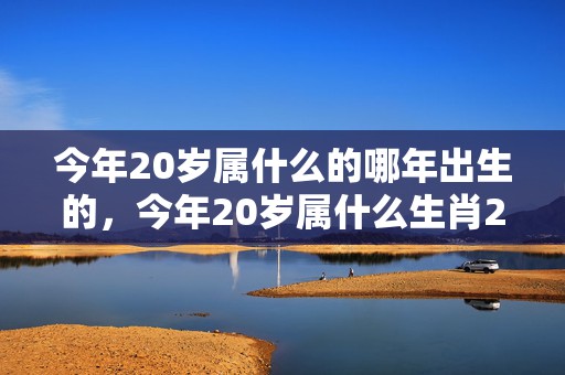 今年20岁属什么的哪年出生的，今年20岁属什么生肖2022