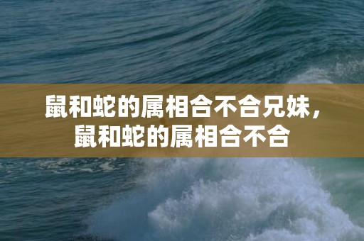 鼠和蛇的属相合不合兄妹，鼠和蛇的属相合不合