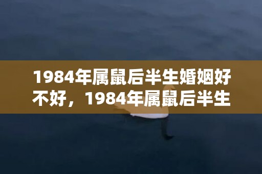 1984年属鼠后半生婚姻好不好，1984年属鼠后半生婚姻好不好