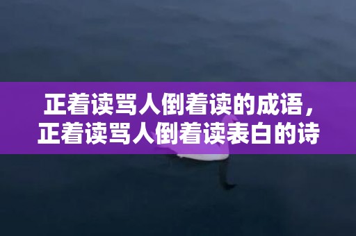 正着读骂人倒着读的成语，正着读骂人倒着读表白的诗句有哪些