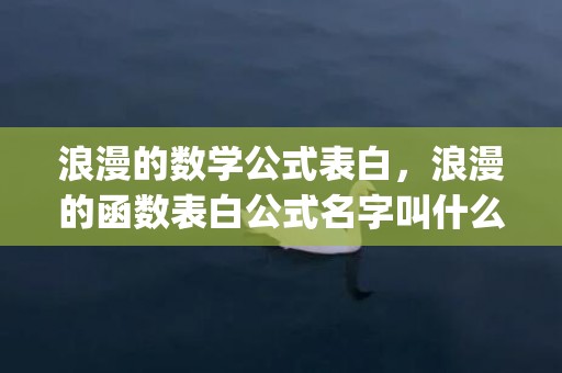 浪漫的数学公式表白，浪漫的函数表白公式名字叫什么来着(数学爱心函数公式)