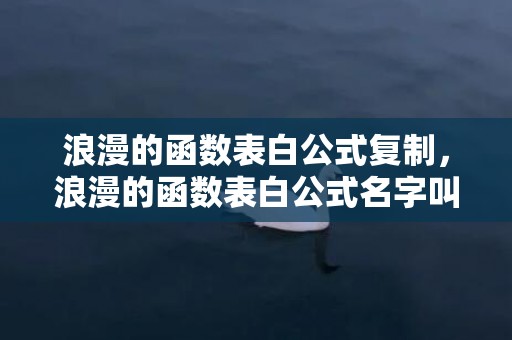 浪漫的函数表白公式复制，浪漫的函数表白公式名字叫什么呢，十个常用函数公式