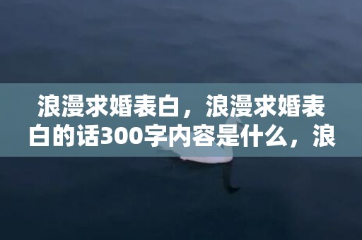 浪漫求婚表白，浪漫求婚表白的话300字内容是什么，浪漫又简单的求婚表白