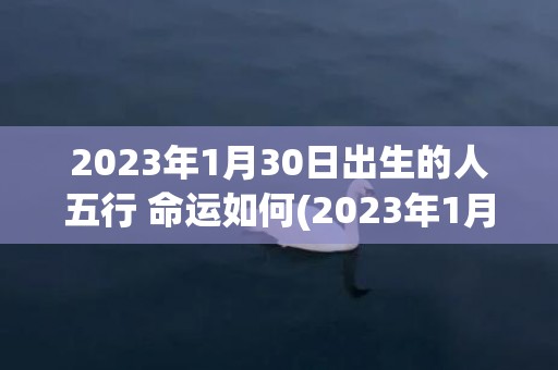 2023年1月30日出生的人五行 命运如何(2023年1月30日黄道吉日查询)