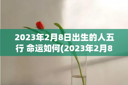 2023年2月8日出生的人五行 命运如何(2023年2月8号农历是多少)