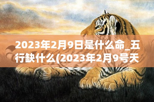 2023年2月9日是什么命_五行缺什么(2023年2月9号天气预报)