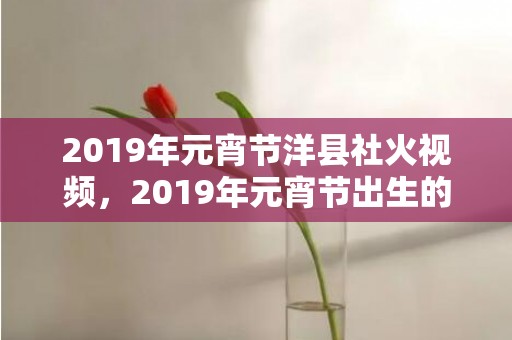 2019年元宵节洋县社火视频，2019年元宵节出生的宝宝起名，宝宝八字取名精选