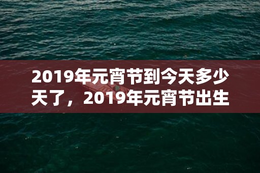 2019年元宵节到今天多少天了，2019年元宵节出生宝宝乳名起名大全,宝宝乳名怎么起萌？