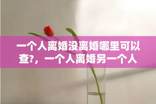 一个人离婚没离婚哪里可以查?，一个人离婚另一个人不想离婚，一个人离婚一个人不离怎么办