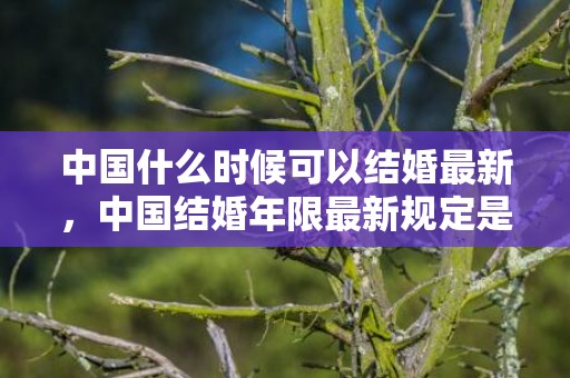 中国什么时候可以结婚最新，中国结婚年限最新规定是多少，现在中国结婚的法定年龄是多少岁