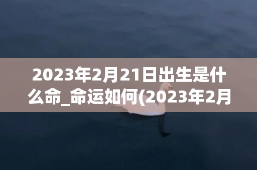 2023年2月21日出生是什么命_命运如何(2023年2月26号是农历几月几日)