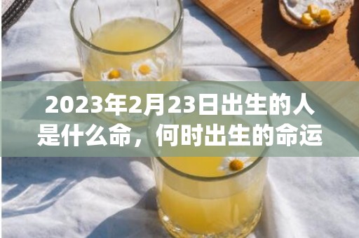 2023年2月23日出生的人是什么命，何时出生的命运比较好(2023年2月26号是农历几月几日)