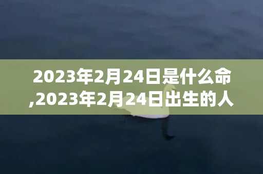 2023年2月24日是什么命,2023年2月24日出生的人命运(2023年2月21号是农历多少)