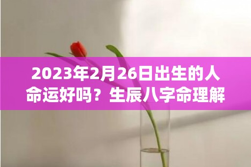 2023年2月26日出生的人命运好吗？生辰八字命理解(2023年2月21号是农历多少)