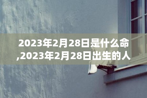 2023年2月28日是什么命,2023年2月28日出生的人命运(2023年2月24号农历是多少)