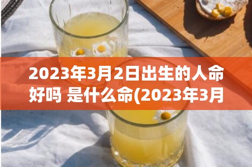 2023年3月2日出生的人命好吗 是什么命(2023年3月23号是农历多少)