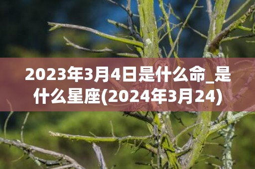 2023年3月4日是什么命_是什么星座(2024年3月24)