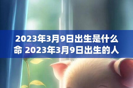 2023年3月9日出生是什么命 2023年3月9日出生的人命运如何(2023年3月9号到今天多少天了)