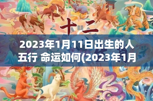 2023年1月11日出生的人五行 命运如何(2023年1月12日农历是多少)