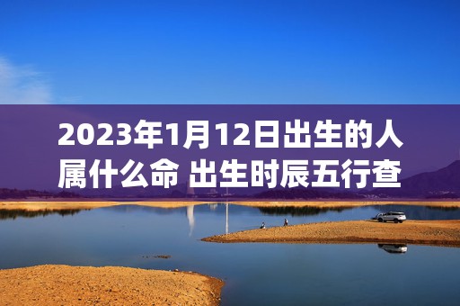 2023年1月12日出生的人属什么命 出生时辰五行查询(2023年1月15日农历是多少)