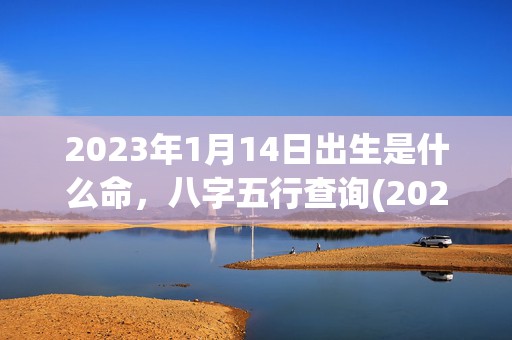 2023年1月14日出生是什么命，八字五行查询(2023年1月11日农历是多少)