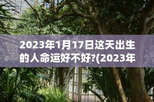 2023年1月17日这天出生的人命运好不好?(2023年1月10日农历是多少)