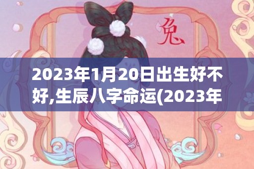 2023年1月20日出生好不好,生辰八字命运(2023年1月20日)