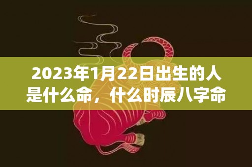 2023年1月22日出生的人是什么命，什么时辰八字命好(2023年1月29日农历是多少)