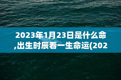 2023年1月23日是什么命,出生时辰看一生命运(2023年1月20日农历是多少)