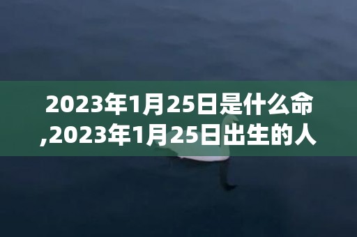 2023年1月25日是什么命,2023年1月25日出生的人命运(2023年1月29日农历是多少)