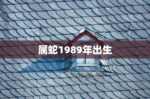 属蛇1989年出生