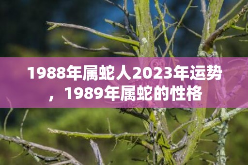 1988年属蛇人2023年运势，1989年属蛇的性格