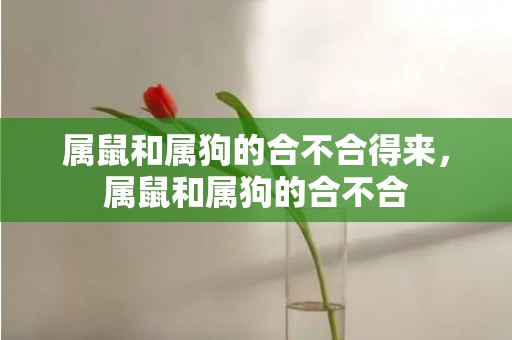 属鼠和属狗的合不合得来，属鼠和属狗的合不合