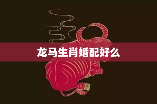 龙马生肖婚配好么