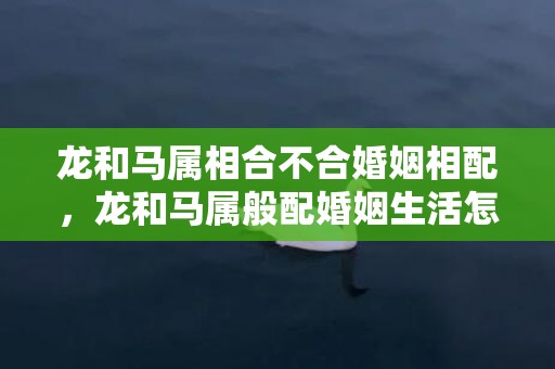 龙和马属相合不合婚姻相配，龙和马属般配婚姻生活怎样