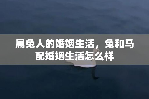 属兔人的婚姻生活，兔和马配婚姻生活怎么样