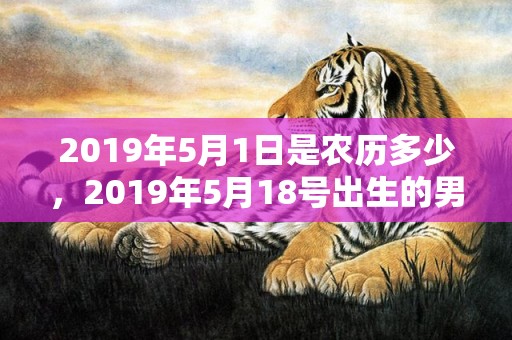 2019年5月1日是农历多少，2019年5月18号出生的男孩起什么名字好听，五行属什么