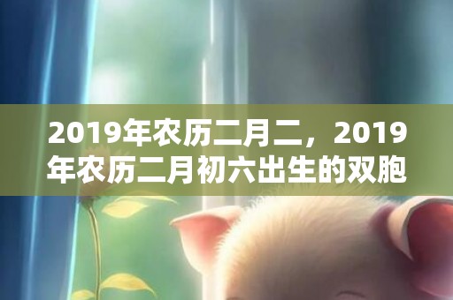 2019年农历二月二，2019年农历二月初六出生的双胞胎男孩怎么样起名字