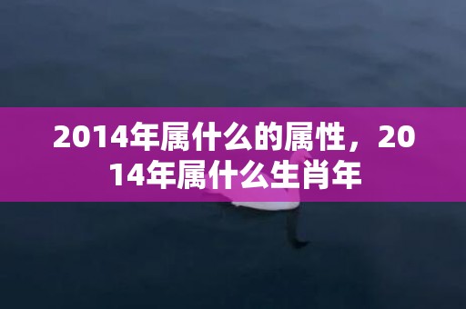 2014年属什么的属性，2014年属什么生肖年