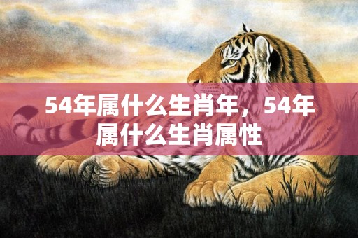 54年属什么生肖年，54年属什么生肖属性