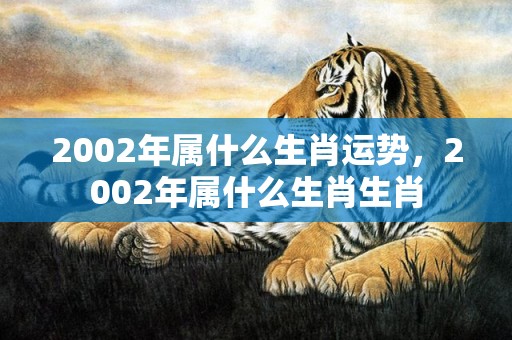 2002年属什么生肖运势，2002年属什么生肖生肖