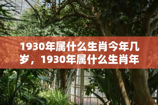 1930年属什么生肖今年几岁，1930年属什么生肖年