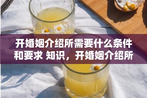 开婚姻介绍所需要什么条件和要求 知识，开婚姻介绍所需要什么资质呢知乎，想开一个婚姻介绍所