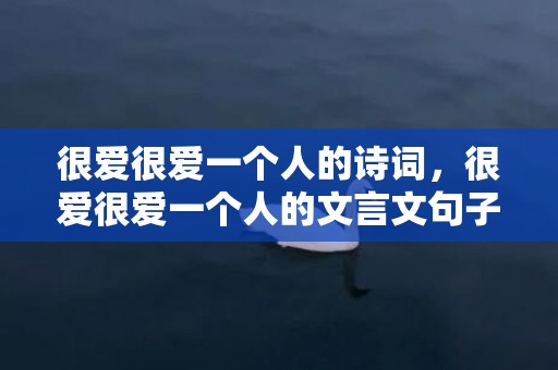 很爱很爱一个人的诗词，很爱很爱一个人的文言文句子怎么说 表示很爱她的文言文