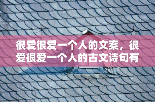 很爱很爱一个人的文案，很爱很爱一个人的古文诗句有哪些，表示爱上一个人的诗句