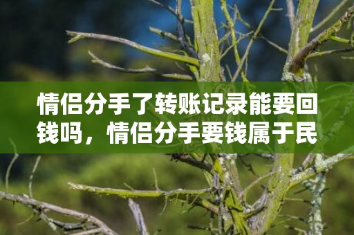 情侣分手了转账记录能要回钱吗，情侣分手要钱属于民事纠纷嘛